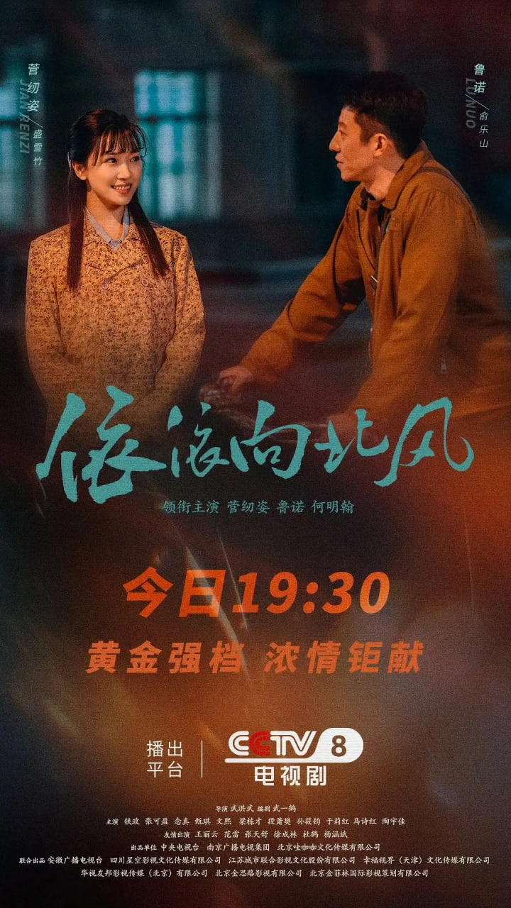 依依向北风封面图