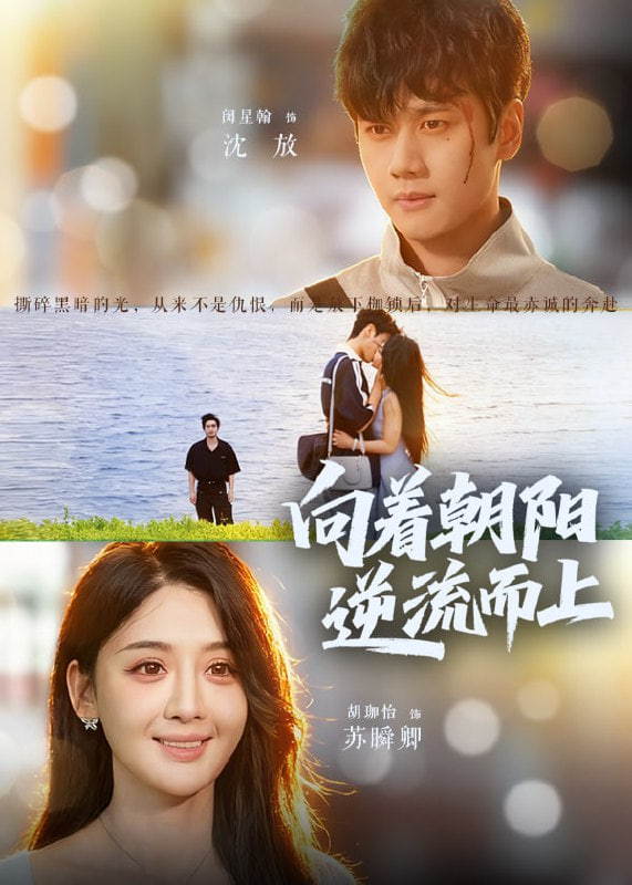 向着朝阳逆流而上封面图